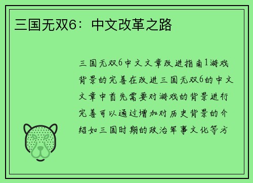 三国无双6：中文改革之路